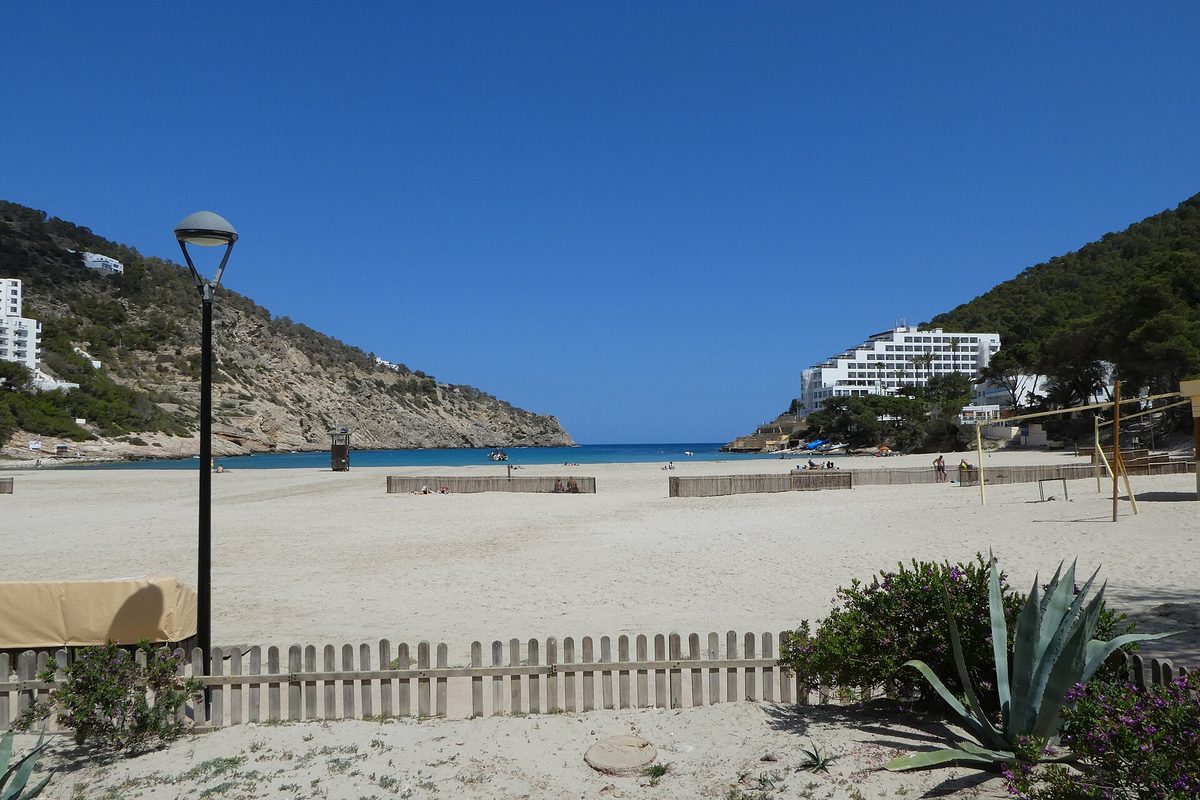 The sandy beach and calm bay of Cala Llonga in Ibiza, enclosed by wooded hills with hotel buildings on the slope above.