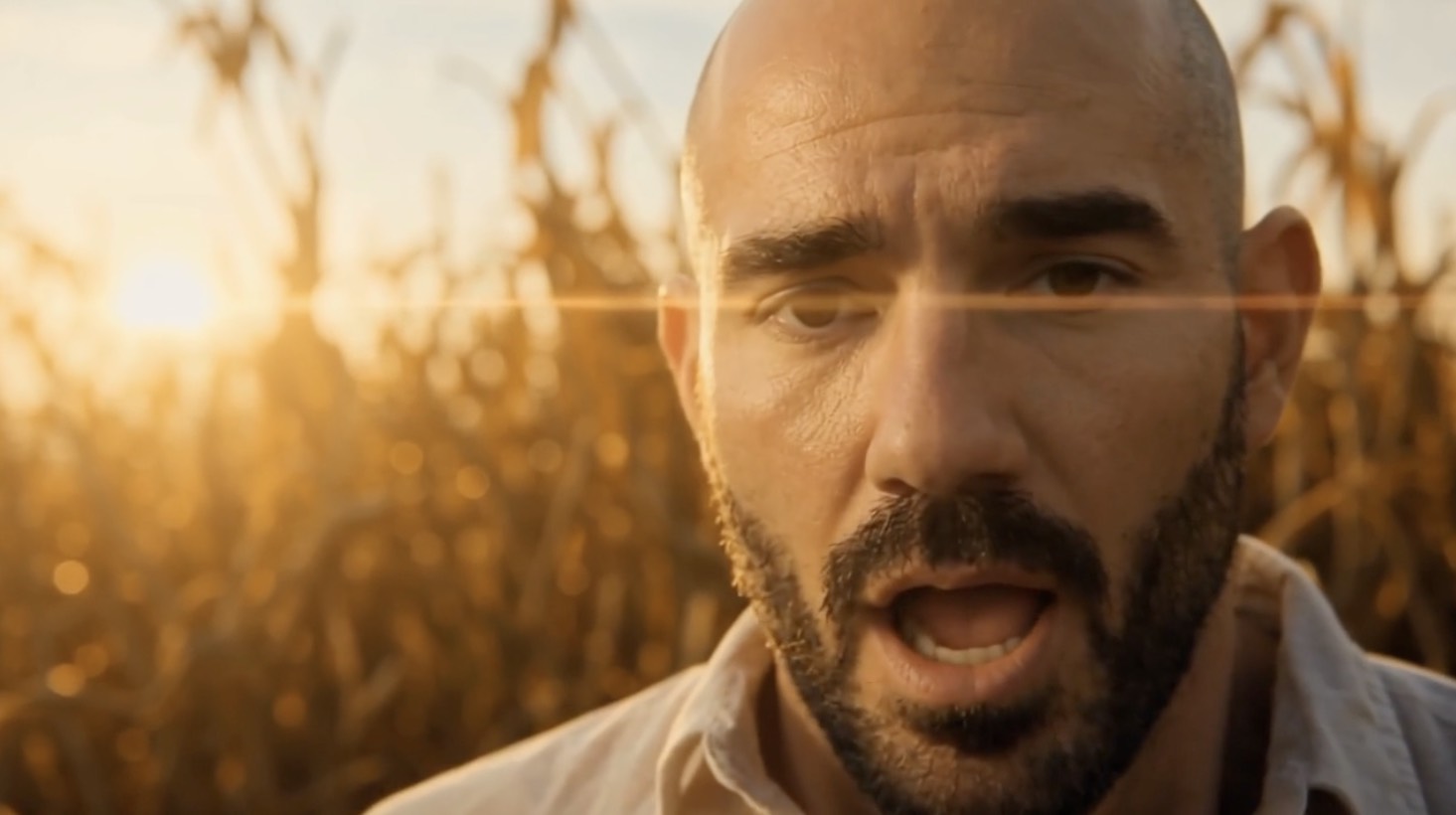 Generated OneMoreShot AI music video still of the singer in a golden cornfield