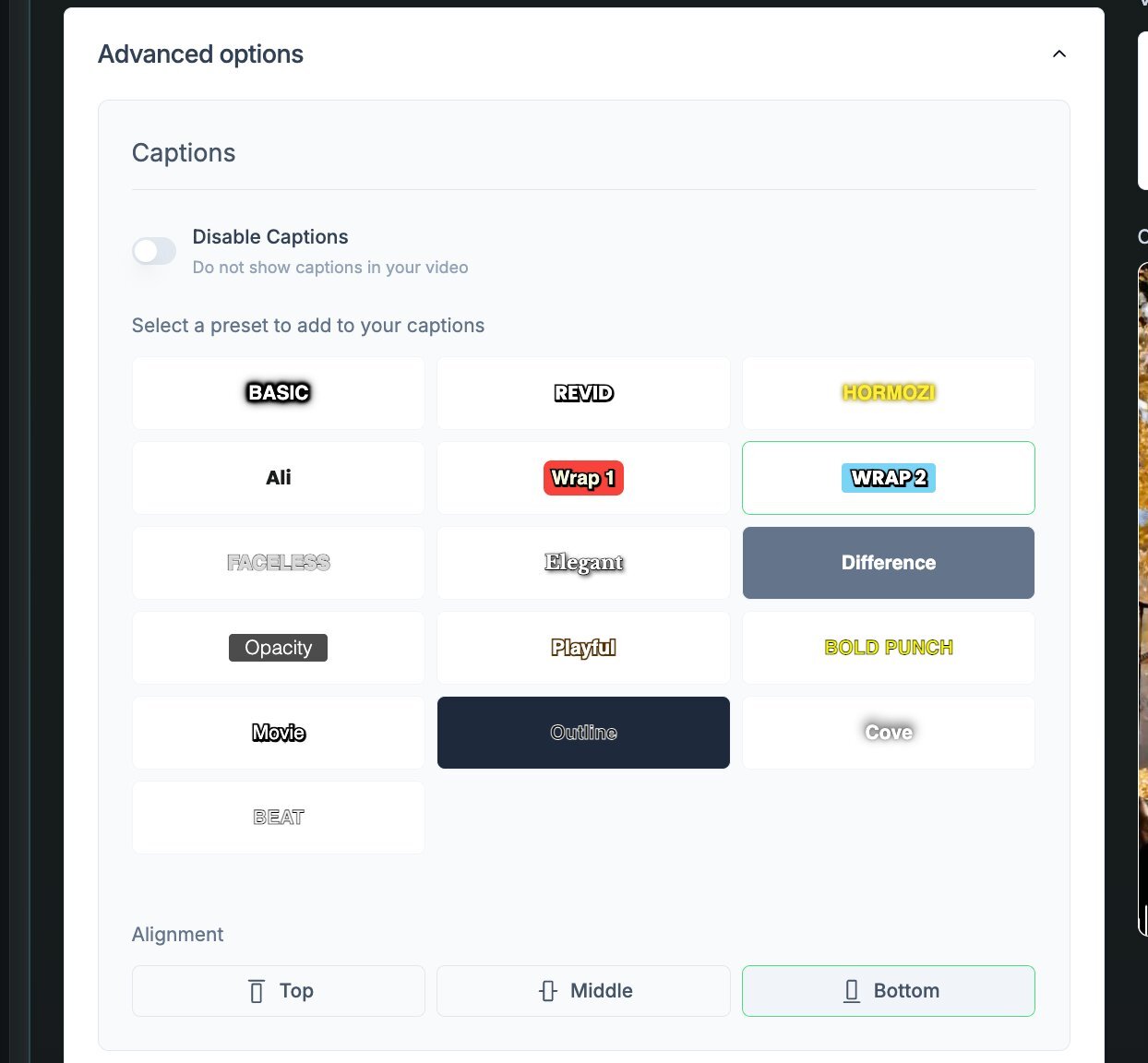 Caption preset options interface with style choices like Basic, Revid, and Wrap.